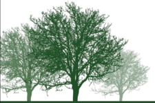 JZ Lawncare & Tree Service logo