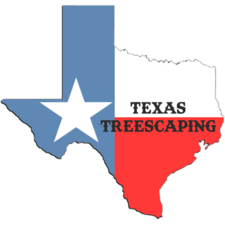 Logo for Texas Treescaping, LLC