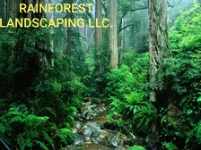 Rainforrest Landscaping logo