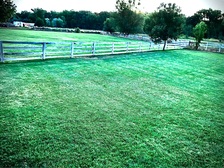 Avatar for Pro-Mod Landscape Solutions