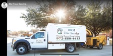 B & M Tree Trimming Service, LLC logo