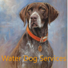 Avatar for Waterdog Sprinklers, LLC