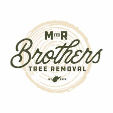 Avatar for M & R Brothers