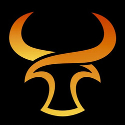Torres Carpentry logo