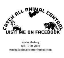 Logo for Catch All Animal Control