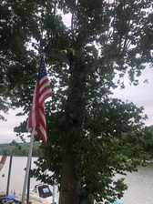 S&K Tree Removal And Scapes logo