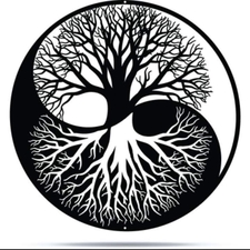 Avatar for Dreamscapes Landscaping, Hardscaping, and More