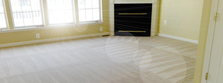 Avatar for 5 Step Healthy Carpet Cleaning