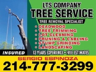 LTS Company logo