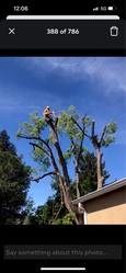 Cousins Tree Services - Unlicensed Contractor logo