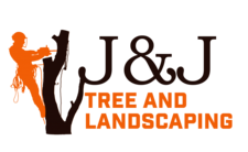 Avatar for J&J Tree And Landscaping