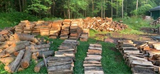 Avatar for Wood Chucking Tree Removal