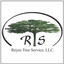 Avatar for Reyes Tree Service