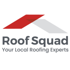 Avatar for Roof Squad
