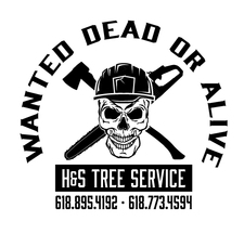 Avatar for H&S Tree Service