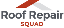 Avatar for Roof Squad