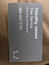 Logo for Tim James Tree Service