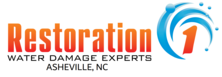 Restoration 1 of Asheville logo