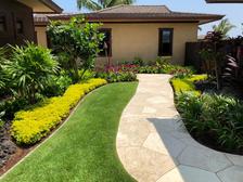 Avatar for The Real Landscaping Service