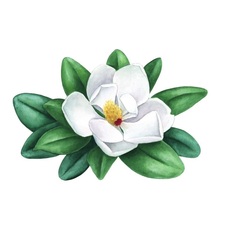 Southern Magnolia Home Inspections, LLC logo
