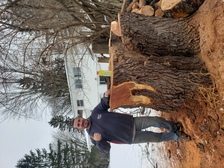 Avatar for DPH Tree Services