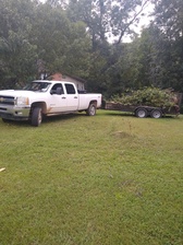 Avatar for Riggins Tree Services