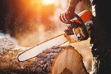 Certified Tree Service, LLC logo