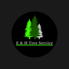 Avatar for E&H Maintenance and Tree Services