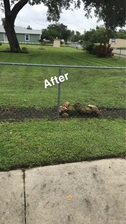 Logo for Geno Lawn Care Service & More - Winter Garden, Florida Facebook