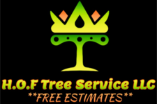 Avatar for H.O.F Tree Service LLC - Facebook