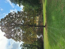 Logo for JA Turf & Wash
