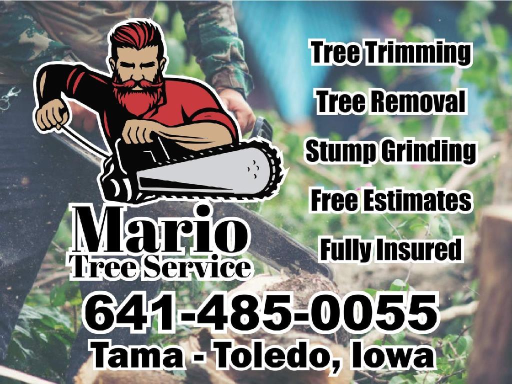 7 Best Tree Services Waterloo IA Tree Removal