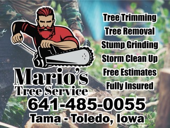 Mario's Tree Services, LLC logo