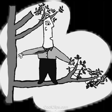 Logo for out on a limb tree experts