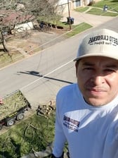 Avatar for Beto Cardenas Tree Expert