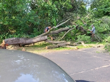 Avatar for Triple R Tree services & Landscaping  Facebook