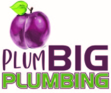 PlumBig Plumbing, LLC logo