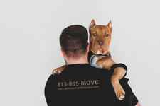 Logo for Scavengers Furniture House Consignment & Thrift, LLC