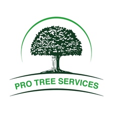 Logo for Pro Tree Services, LLC