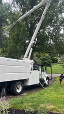 Avatar for Hernandez Tree Services, LLC