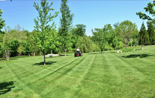 DK Mowing Services logo
