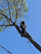 Stick-Man's Tree Service logo
