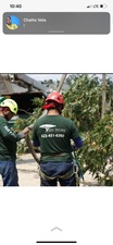 Logo for Grace Tree Service