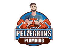 Avatar for Pellegrin's Plumbing