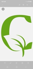 Avatar for CASILLAS Lawn care