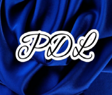 Ponce de Leon Construction, LLC logo