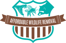 Affordable Wildlife Removal logo