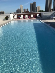 Splash Pure Water Pool Services logo