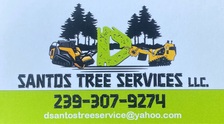 Logo for D Santos Tree Service