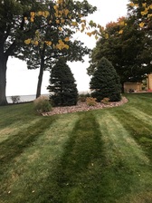 Avatar for Affordable lawn care Facebook